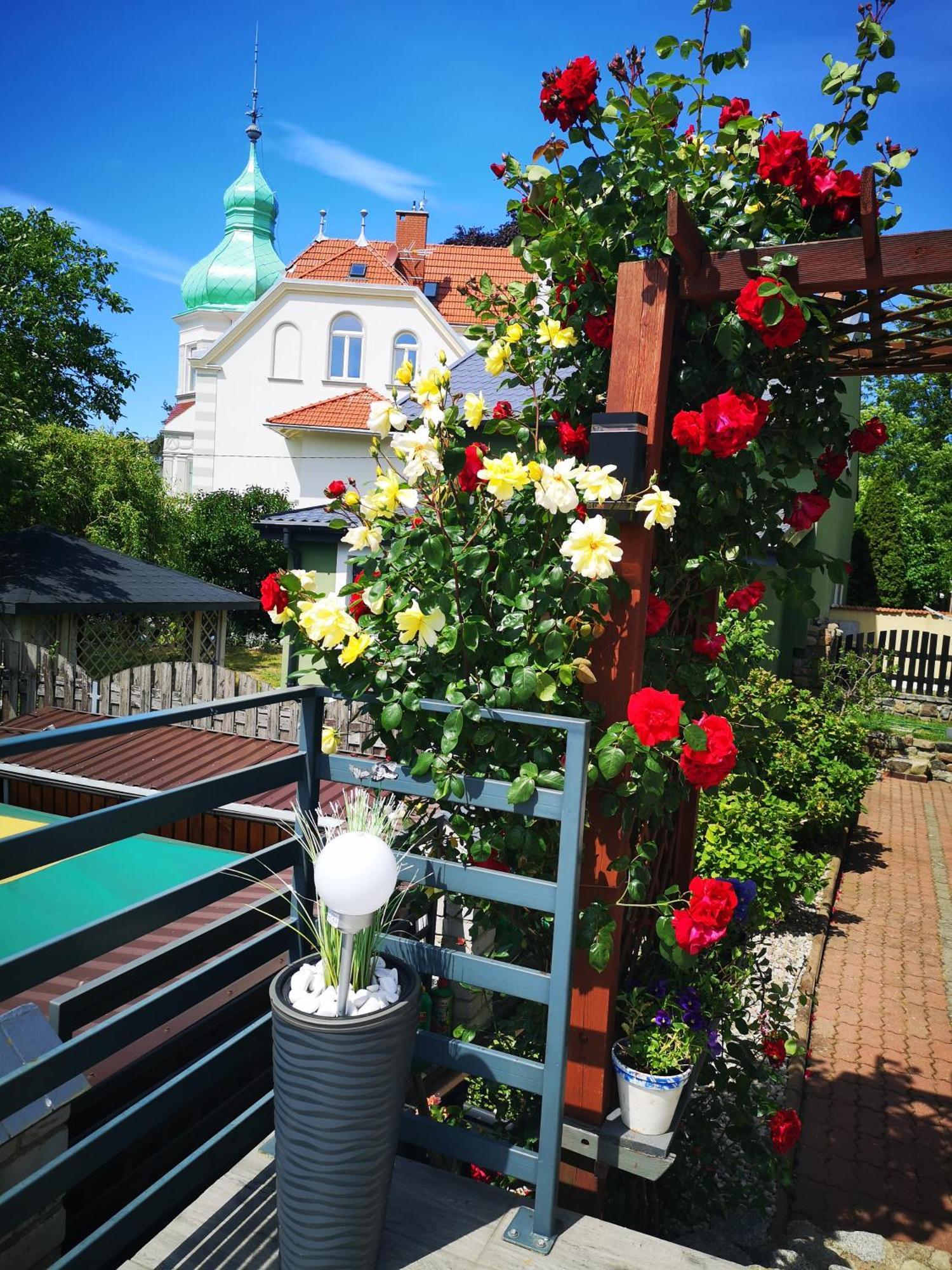 Villa Basia Miedzyzdroje Kültér fotó
